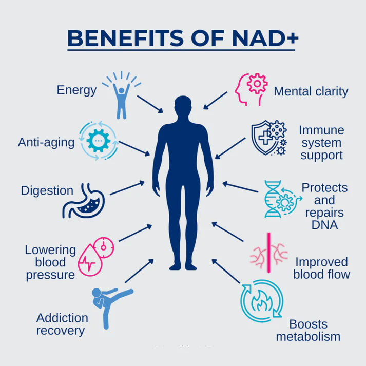 NAD+ Nicotinamide Riboside